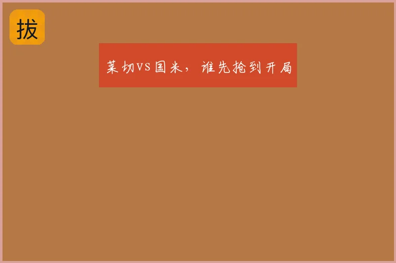 莱切vs国米，谁先抢到开局